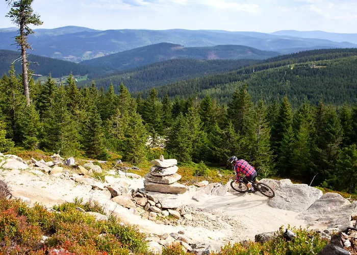 Czarna Gora 317 3* 시에나