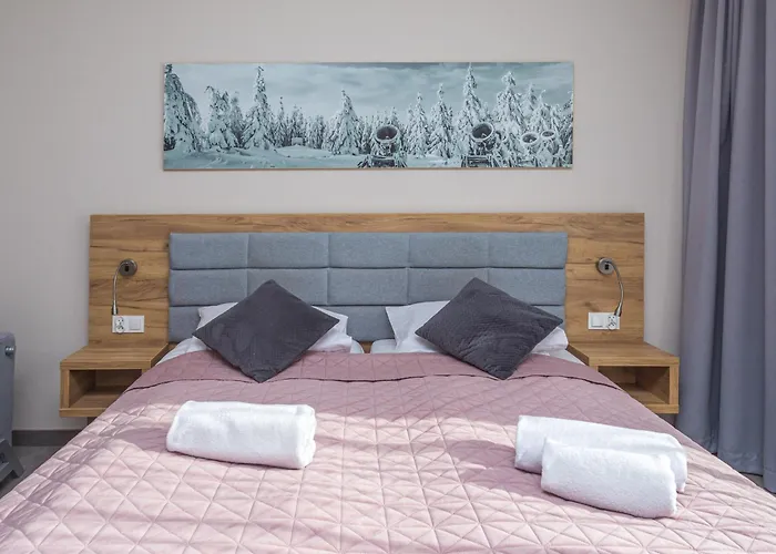 Czarna Gora 317 아파트호텔 3*